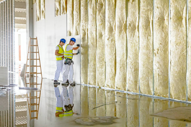 Best Insulation Maintenance and Repair in Cherry Hill, VA